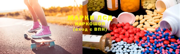 спайс Касимов