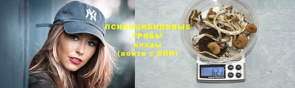 jwh Карпинск