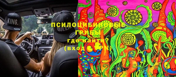 СК Кинешма